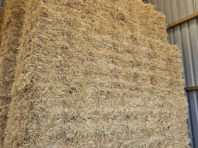 Small wheat straw bales for sale