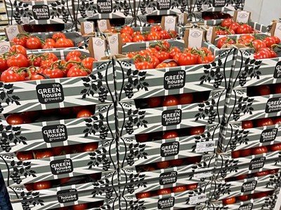 Tomatoes