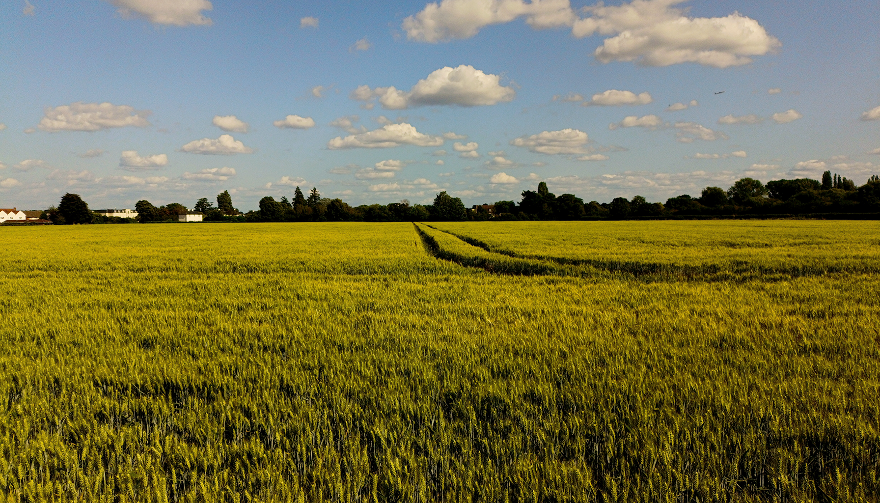 Farming Budget Cut by £100 M: What It Means for UK Agriculture
