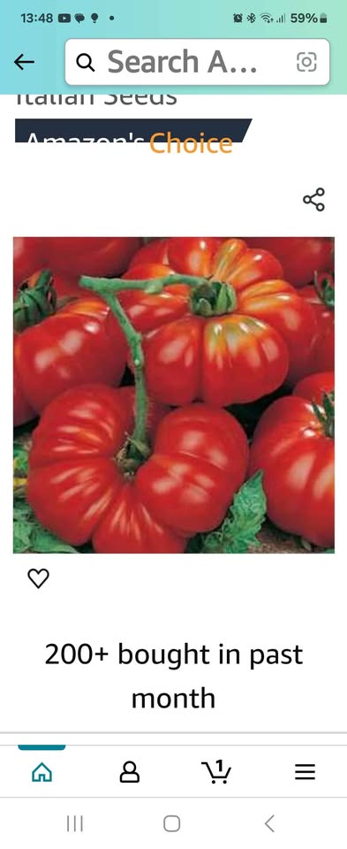 Very nice Tomatoes plants