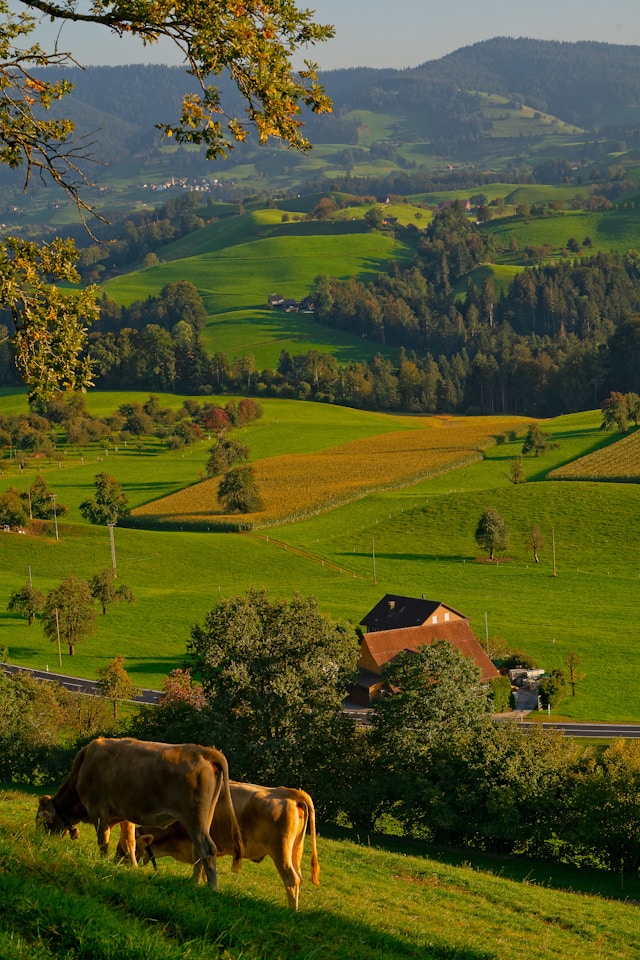 Local farmer